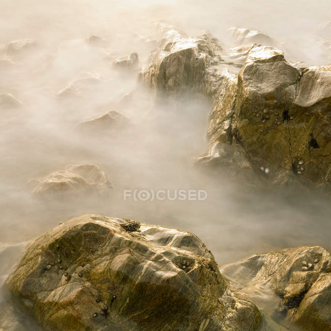 Roches brumeuses en mer — Photo de stock
