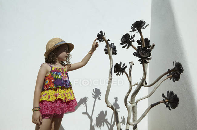 Дівчина в солом'яному капелюсі торкається екзотичної рослини — стокове фото