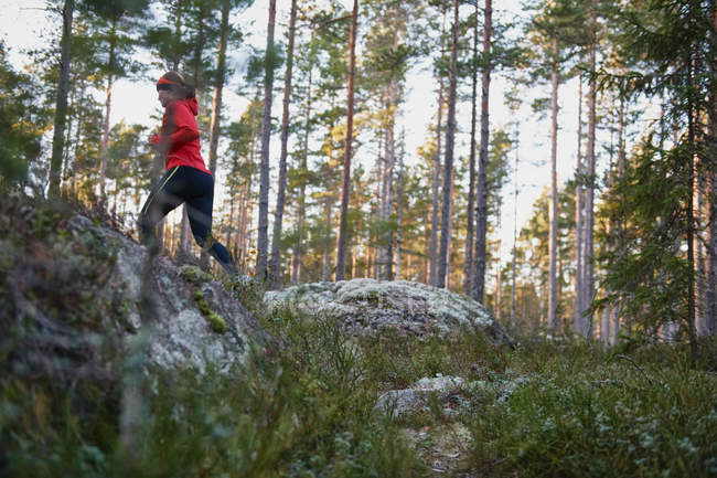 Rückansicht einer Frau, die im Wald läuft — Stockfoto