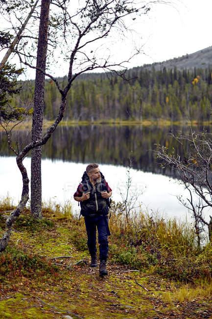 Senderista caminando por el lago, Kesankijarvi, Laponia, Finlandia - foto de stock