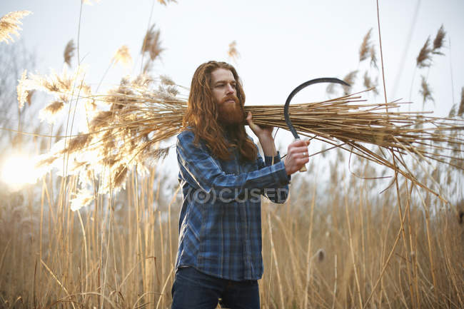 Man carrying bundle of wheat — Stock Photo