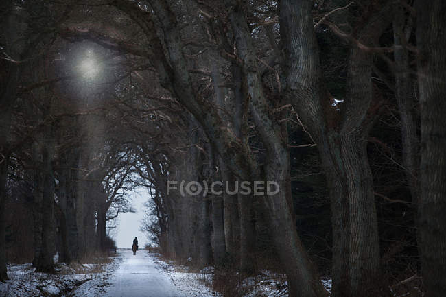 Woman riding horse on snowy path — Stock Photo