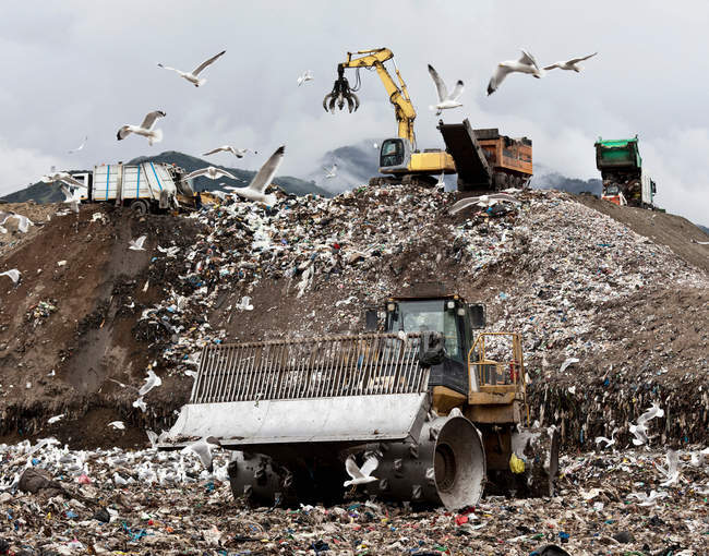 Pássaros circulando centro de coleta de lixo — Fotografia de Stock