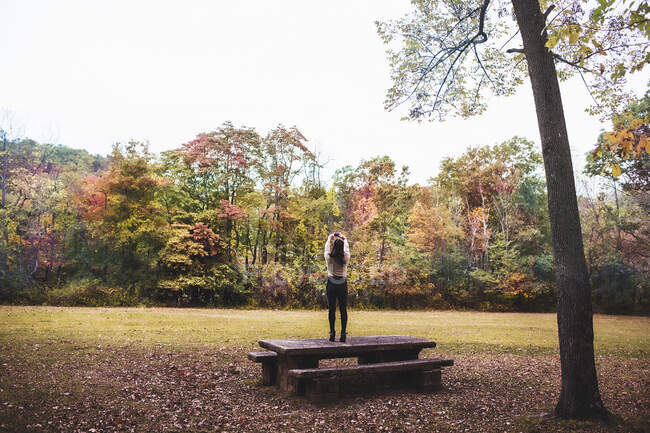 Вид сзади на молодую женщину, стоящую на скамейке для пикника и фотографирующую осенний лес со смартфоном — стоковое фото