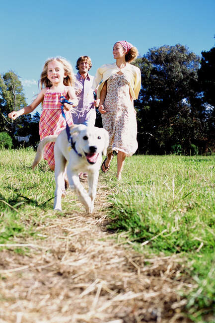 Girl walking dog in the country — Stock Photo
