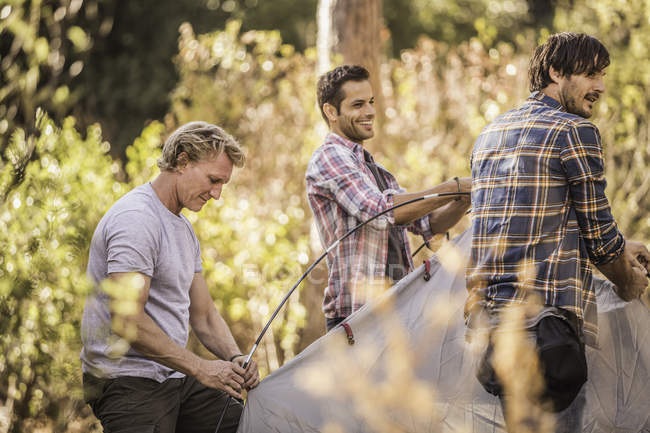 Drei Männer bauen Kuppelzelt in Wald, Wildpark, Kapstadt, Südafrika auf — Stockfoto