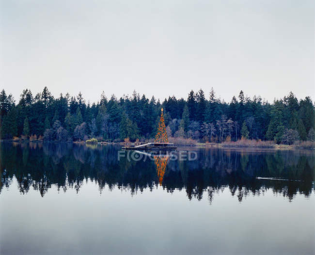 Christmas tree in lake in pine forest — Stock Photo