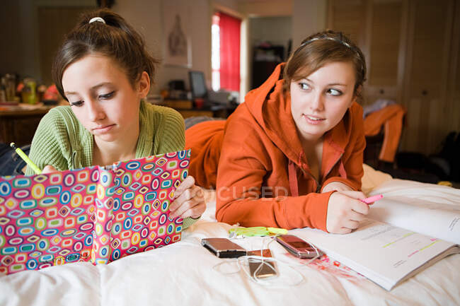 Duas adolescentes fazendo seus trabalhos de casa — Fotografia de Stock