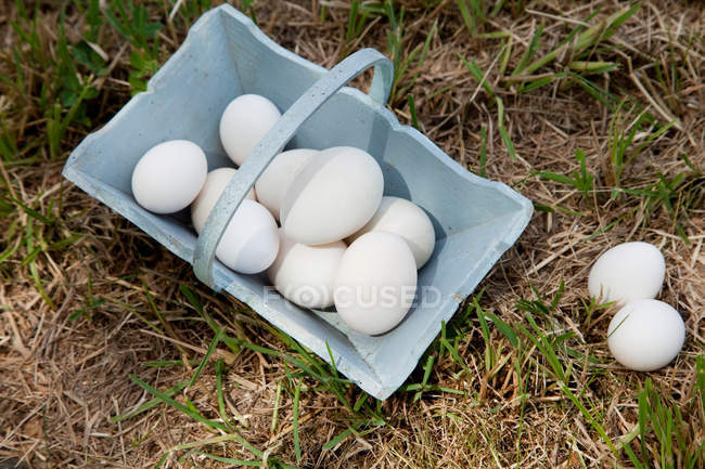Eggs in basket and on grass, top view — Stock Photo