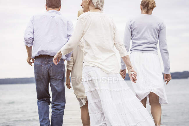 Grupo de amigos, caminando hacia el lago, vista trasera - foto de stock