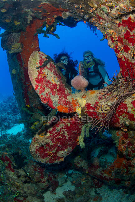 Divers near prop of sunken ship. — Stock Photo