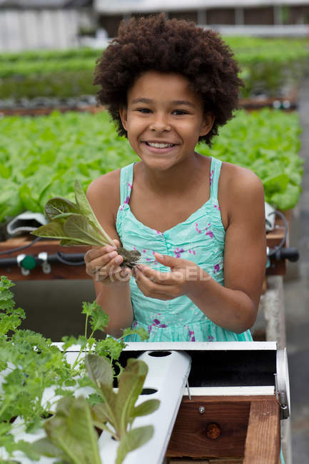 Girl holding lettuce in nursery — Stock Photo