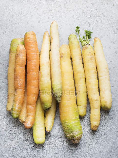 Yellow carrots pile on white — Stock Photo