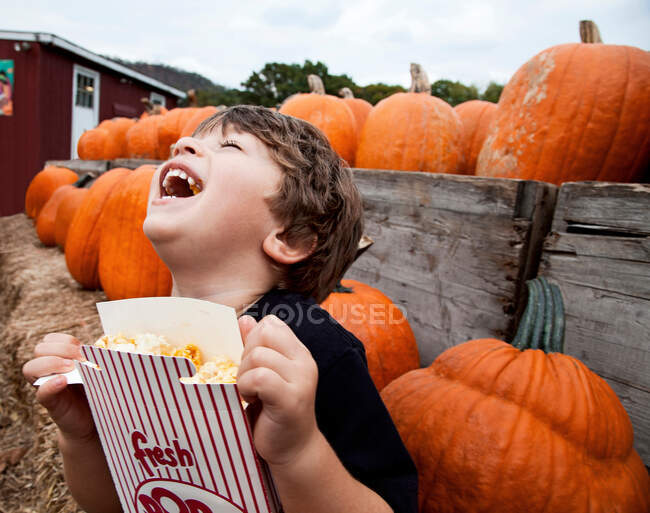 Portrait of Laughing Boy eating popcorn in pumpkin patch — Stock Photo