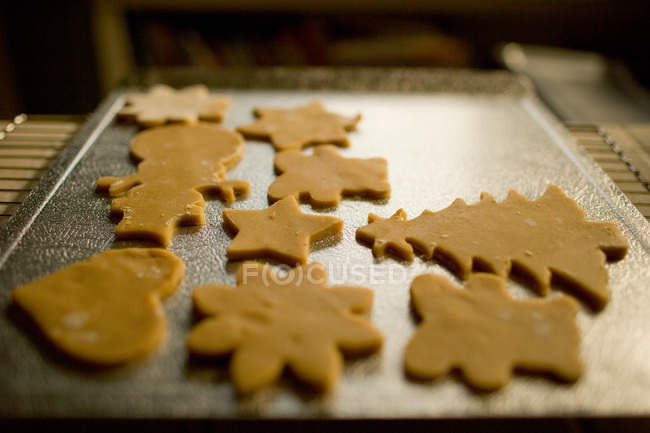 Biscoitos de Natal recém-assados na bandeja — Fotografia de Stock