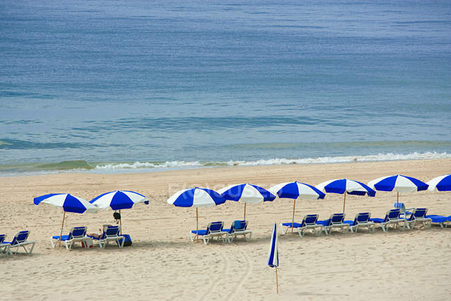 Зонтики и шезлонги на пляже — стоковое фото