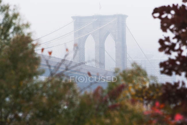 Detail der brooklyn bridge in nebel, new york city, usa — Stockfoto