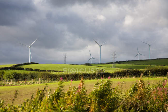 Parco eolico su campo verde — Foto stock