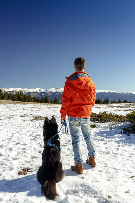 Rear view of man with dog looking out at snow covered landscape — Stock Photo