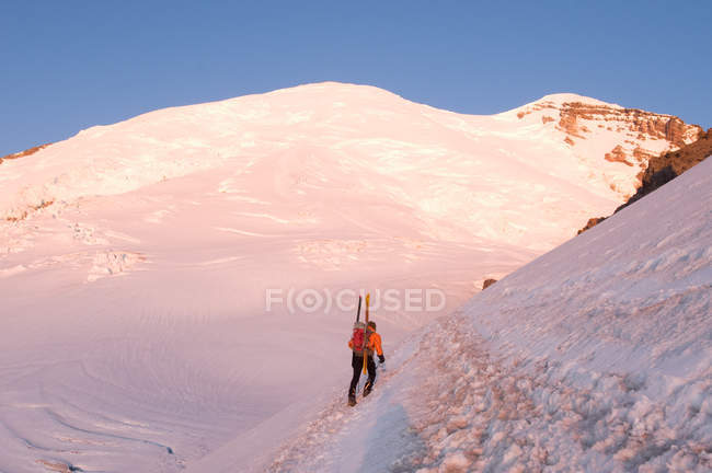 Männlicher Bergsteiger mit Skiern den Berg hinauf, Emmons-Gletscher, Mount Rainier Nationalpark, Washington, USA — Stockfoto