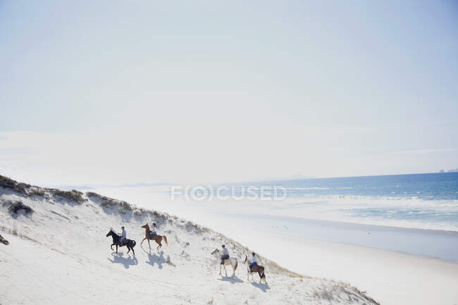 Horse ride, Pakiri Beach, Ouckland, New Zealand — стокове фото
