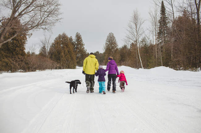 Madre y padre con dos hijos y perro, caminando en la nieve, vista trasera - foto de stock