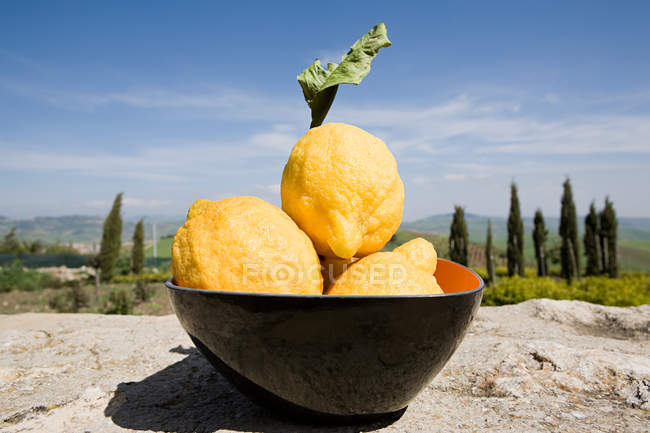 Limoni siciliani con paesaggio alla luce del sole — Foto stock