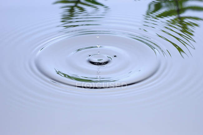 Ripples on water with palm leaves reflecting in water surface — Stock Photo