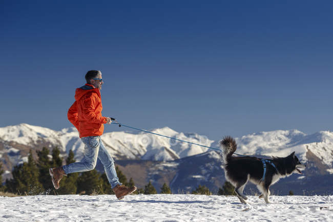 Человек бежит с собакой в заснеженном горном ландшафте — стоковое фото