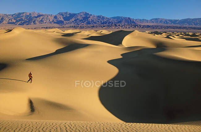 Hiker on mesquite sand dunes — Stock Photo