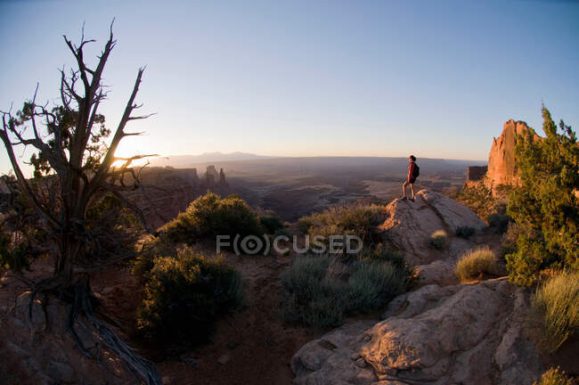 Overhead view of Hiker exploring rock formations — Stock Photo