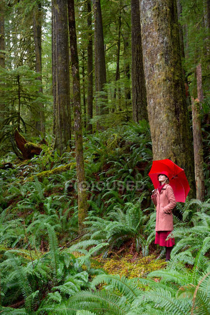 Mujer con paraguas caminando en el bosque - foto de stock