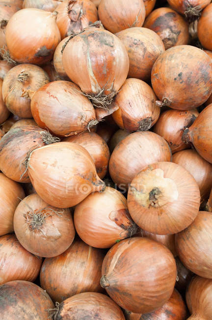 Dirty ripe onions — Stock Photo