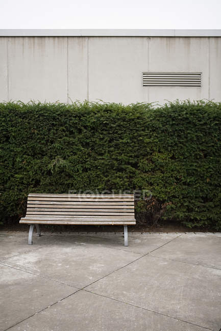 View of empty bench in a park, germany — Stock Photo