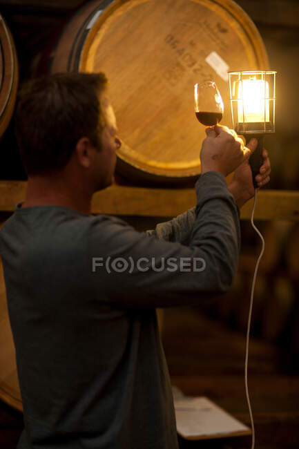 Verificar o envelhecimento do vinho em barris — Fotografia de Stock