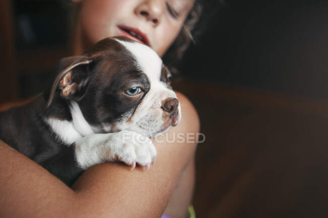 Mädchen umarmt Boston Terrier Welpe — Stockfoto