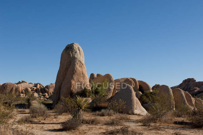 Кам'яна формація в національному парку Джошуа дерева — стокове фото