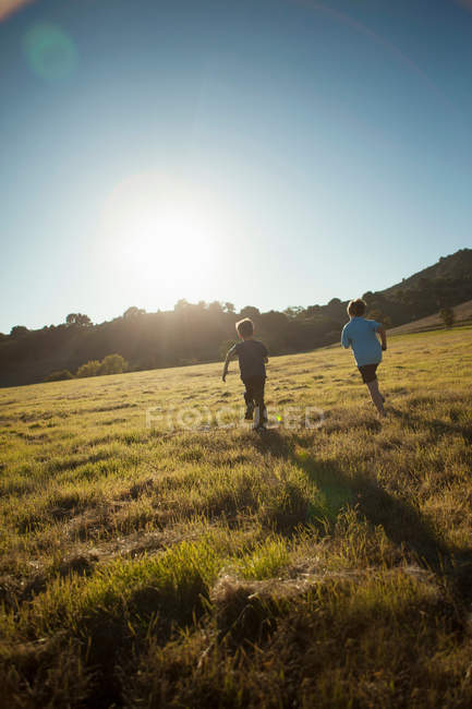 Vue arrière des garçons qui courent dans un champ herbeux — Photo de stock