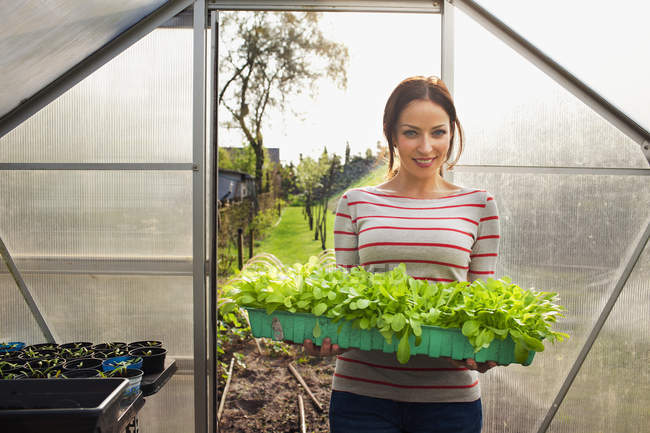 Mujer joven sosteniendo plantas en invernadero - foto de stock