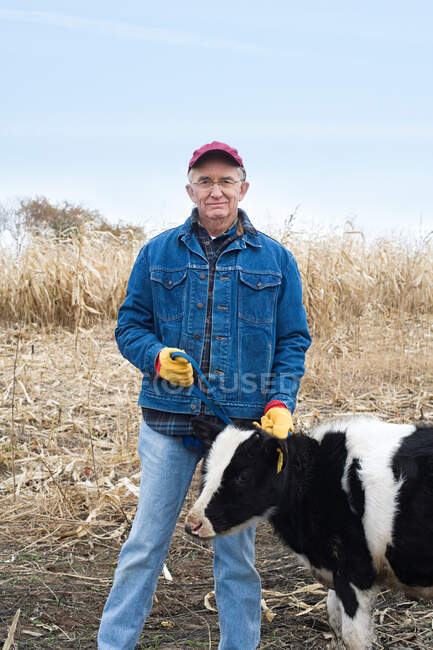 Agricoltore con vitello — Foto stock