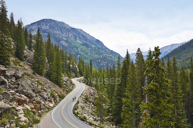 Велогонщики на извилистом шоссе, Аспен, Колорадо, США — стоковое фото
