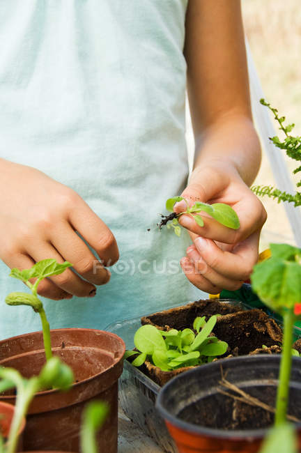 Immagine ritagliata di Bambino che tiene piante verdi vicino vasi di fiori — Foto stock