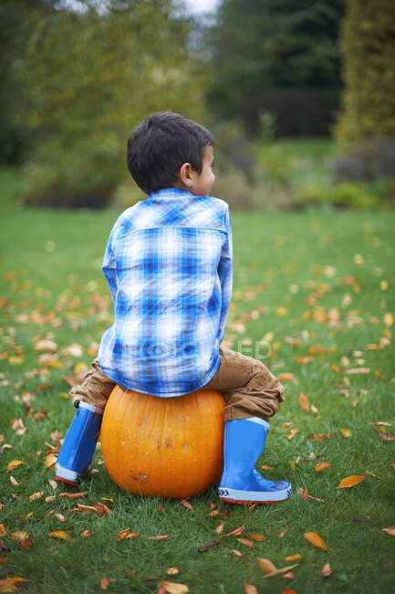 Male toddler in the garden sitting on pumpkin — Stock Photo