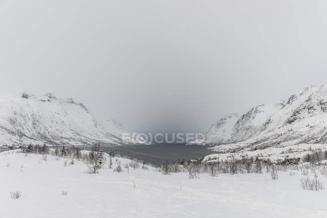 Fjord in foggy weather — Stock Photo