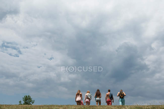 Вид сзади на пятерых друзей, идущих в поле под дождливыми облаками — стоковое фото
