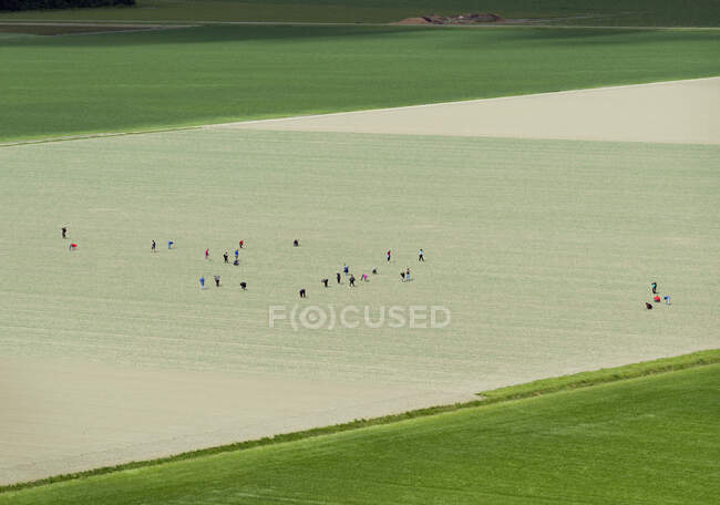Люди, работающие на поле — стоковое фото