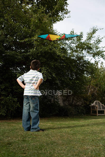 Visão traseira do menino olhando para pipa na árvore — Fotografia de Stock