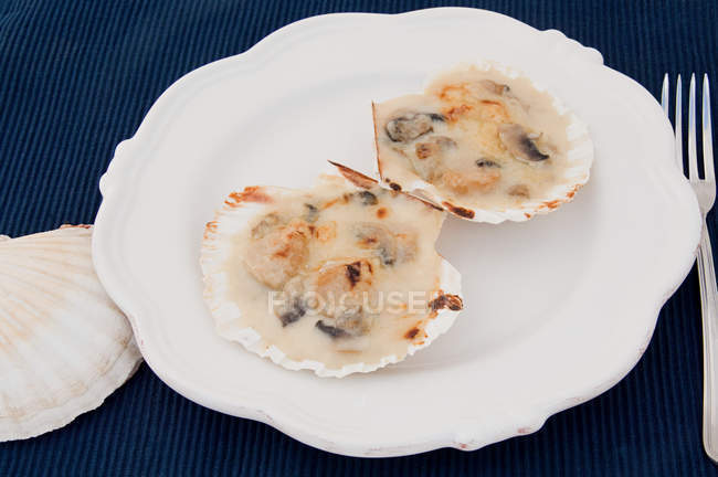 Coquilles st jacques on plate — стокове фото