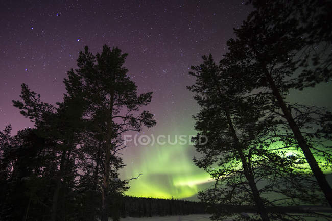Magestic northern lights in night sky, jukkasjarvi, lapland — стоковое фото