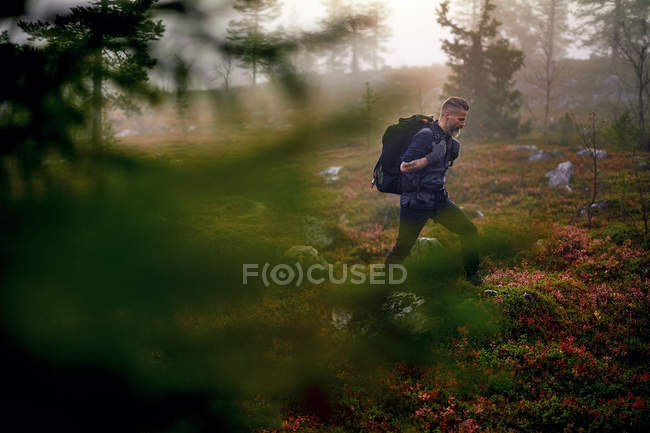 Excursionista masculino que viaja con mochila en Laponia, Finlandia - foto de stock